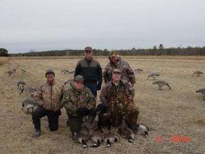 Hunting geese with Labrador retrievers