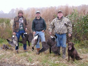 Hunting with Labrador retrievers