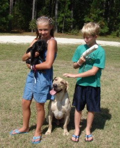 Children with Labrador retrievers