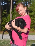 labrador retriever puppies for sale, happy owners summer 2015, woody thurman testimonials  
