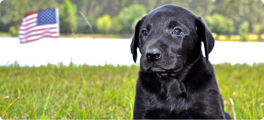 About-Woody-Thurman_